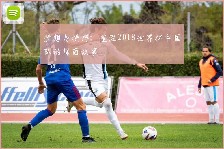 梦想与拼搏：重温2018世界杯中国队的绿茵故事