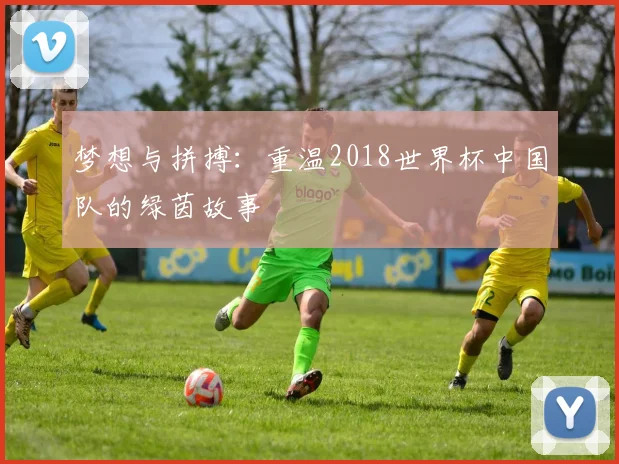 梦想与拼搏：重温2018世界杯中国队的绿茵故事