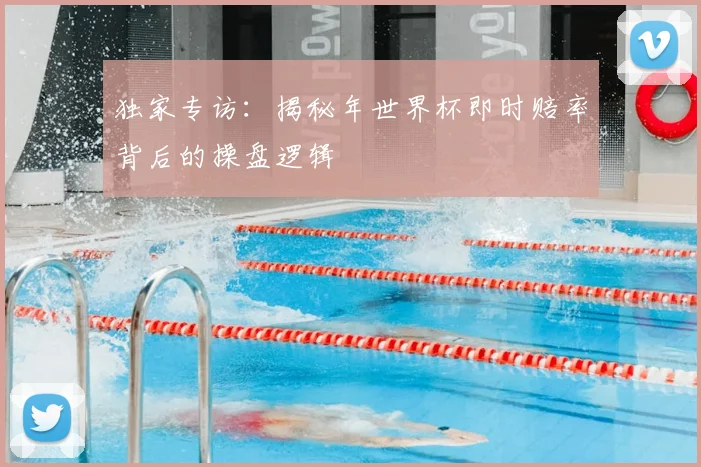 独家专访:揭秘年世界杯即时赔率背后的操盘逻辑