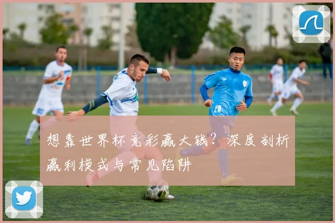 想靠世界杯竞彩赢大钱？深度剖析赢利模式与常见陷阱